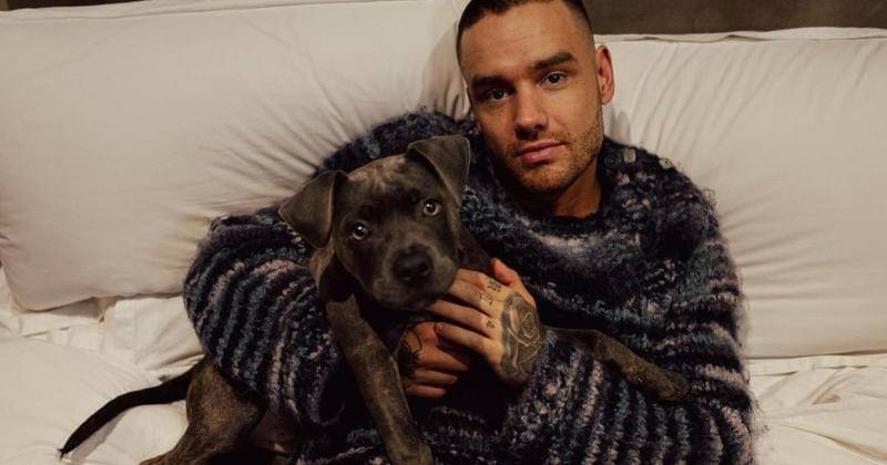 Instagram.com/liampayne